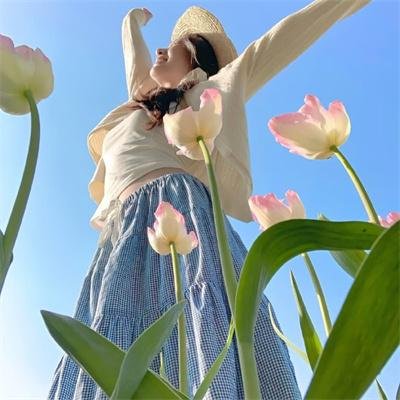 钢琴之森第一季